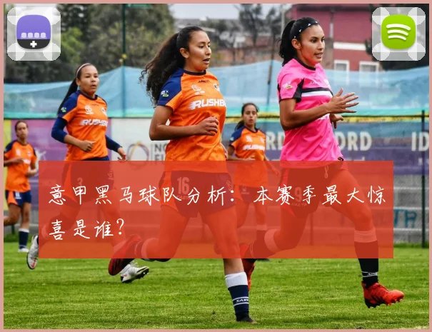 意甲黑马球队分析:本赛季最大惊喜是谁?