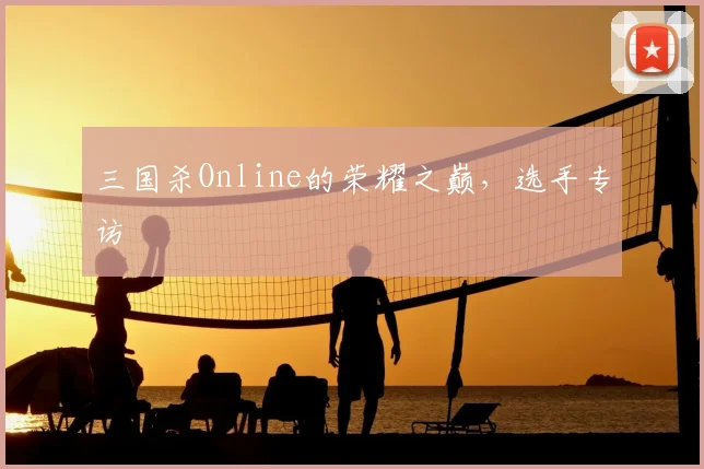 三国杀Online的荣耀之巅,选手专访